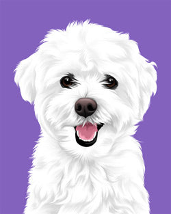 Custom Pet Art - Modern Style